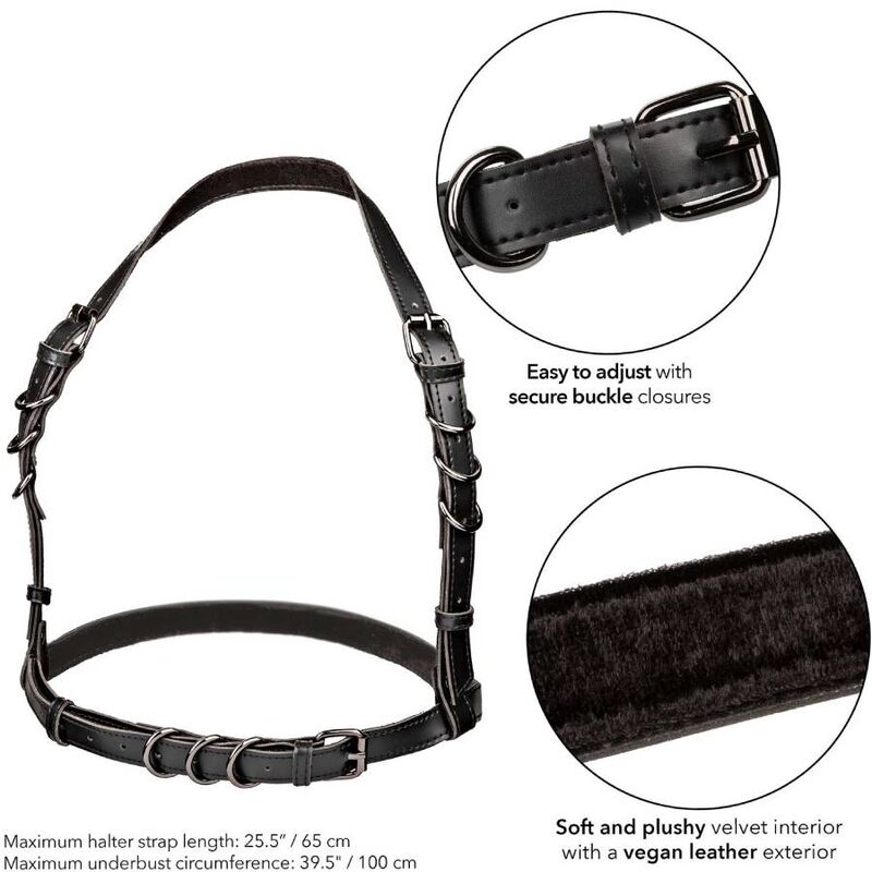 CALEXOTICS - EUPHORIA ARNÊS DE FIVELA HALTER PRETO - Imagem 5